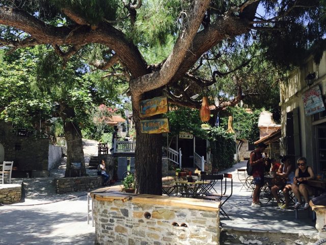 Camping Castello – CP014