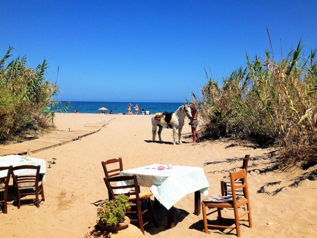 Camping Elizabeth – CP007