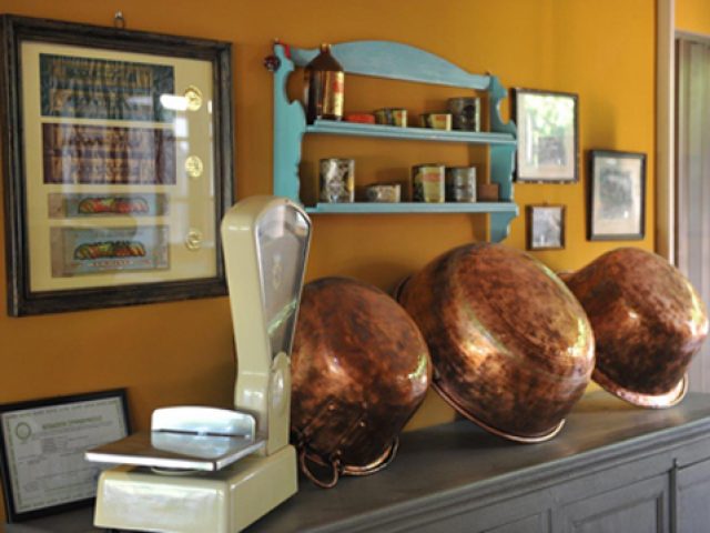 Citrus Χίος –  SP024